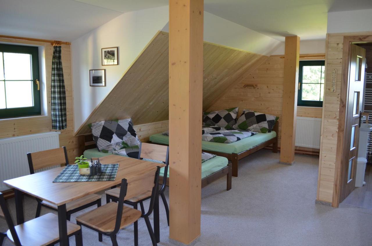 Sumavske Zastaveni Apartment *