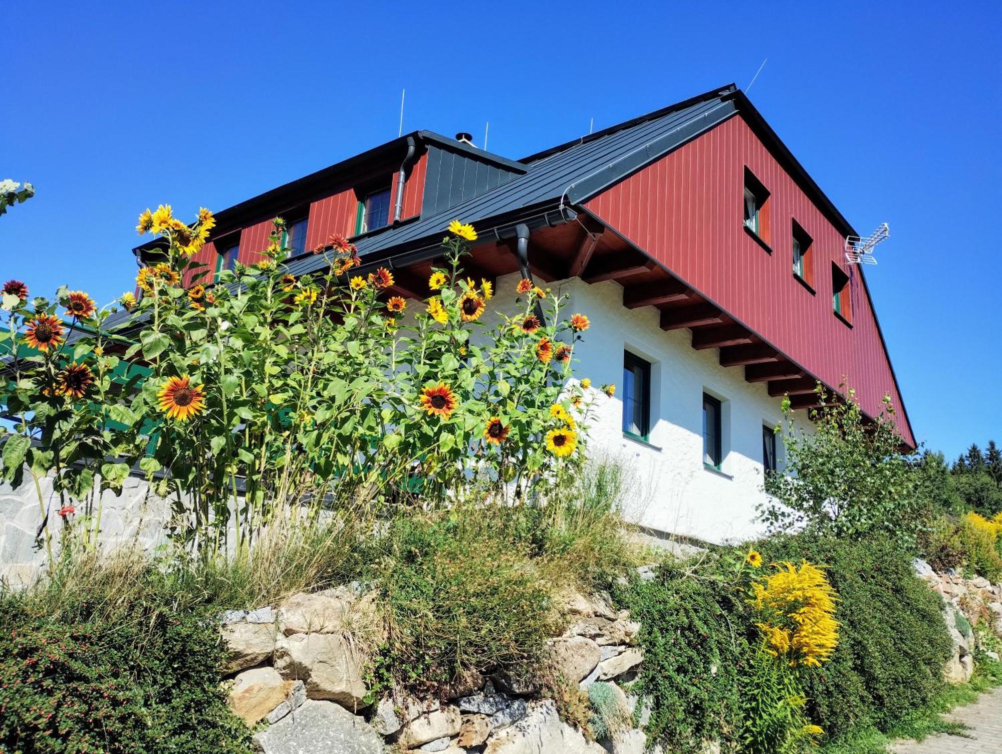 Sumavske Zastaveni Apartment *